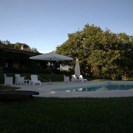 The Forest House Isernia Ngoại thất bức ảnh
