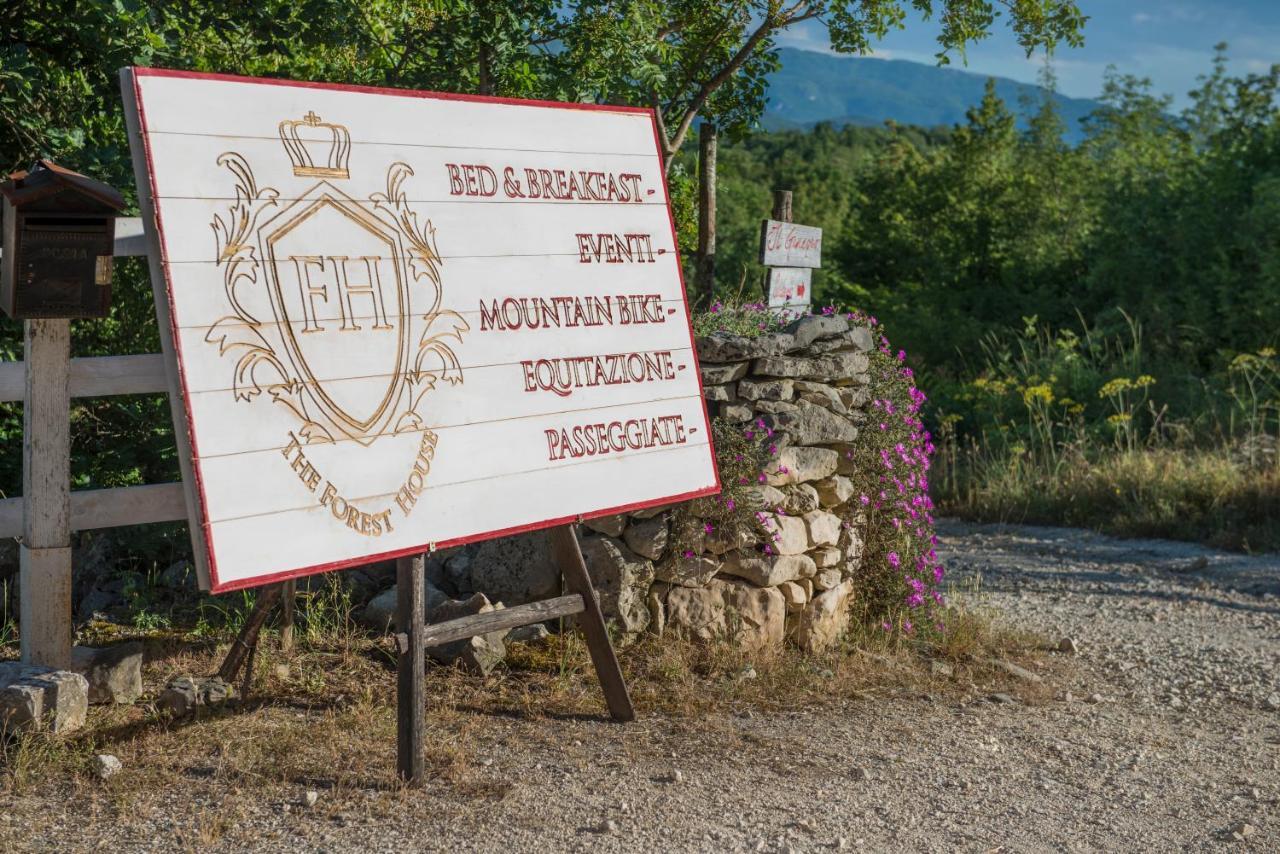 The Forest House Isernia Ngoại thất bức ảnh