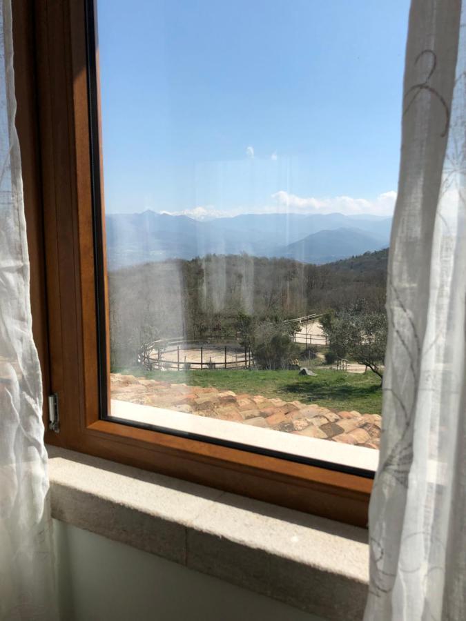 The Forest House Isernia Ngoại thất bức ảnh